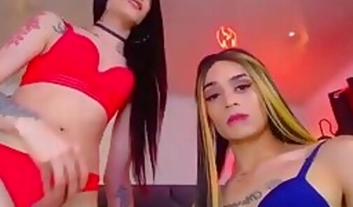 slim trans ladies Lina And Noemi have fun on webcam