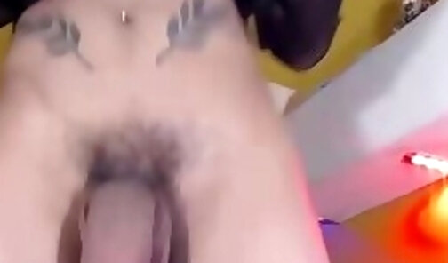 Big Tits Tattooed Shemale Teen Gets Horny