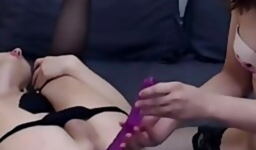 Two shemale sluts having fun with their dildo