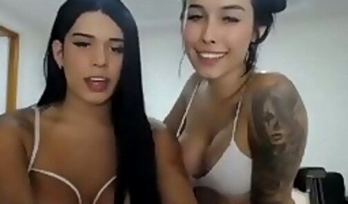Two busty shemales with pretty faces chatting on xxx webcam