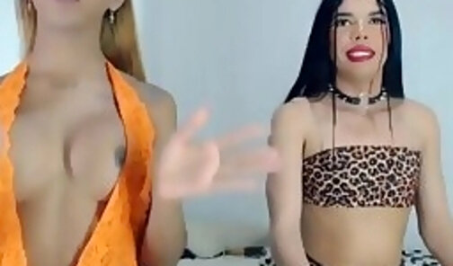 Shemale performing a crazy blowjob on her friend.